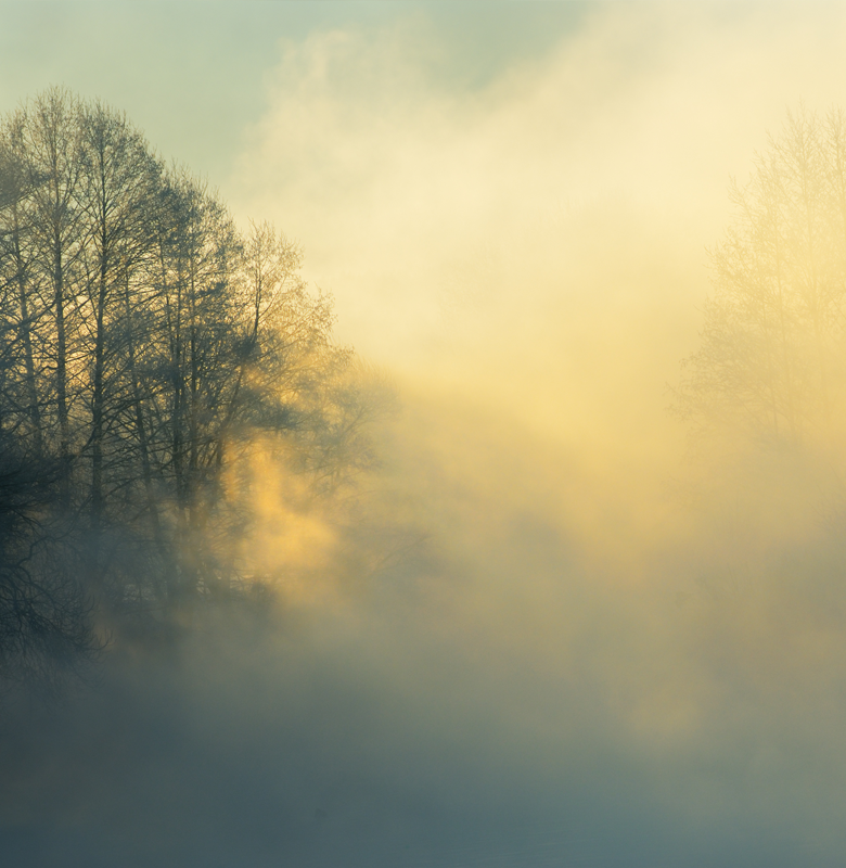 Paisaje boscoso con niebla. Entre los árboles se observan los rayos del sol del amanecer.